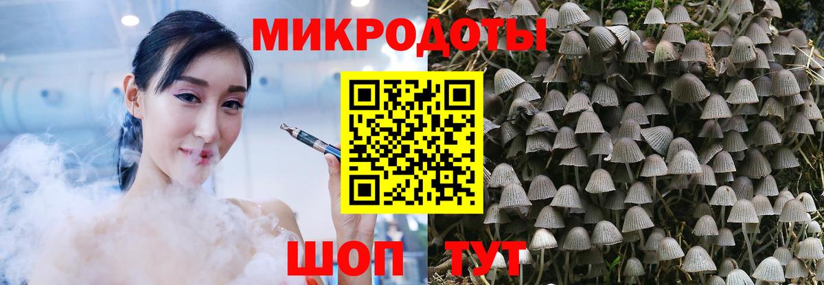 Галлюциногенные грибы Psilocybine cubensis Белорецк